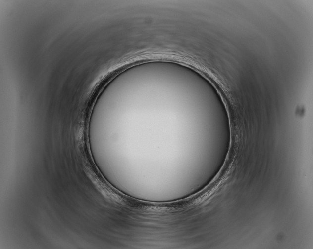 X0000100751499200806190810