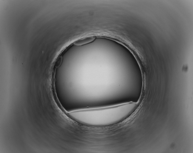X0000100751500200806190810