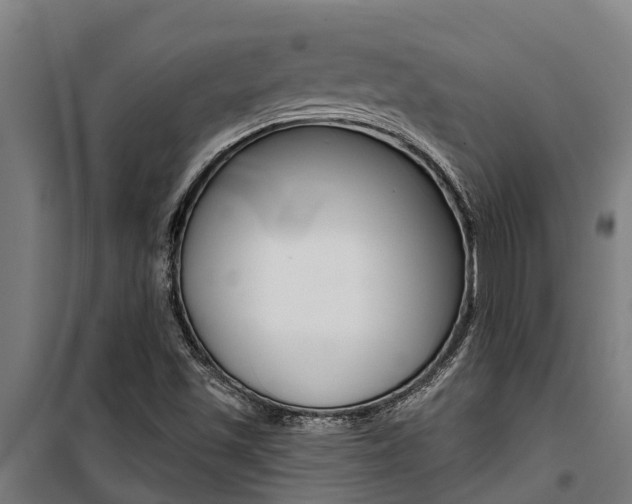 X0000100751501200806190810