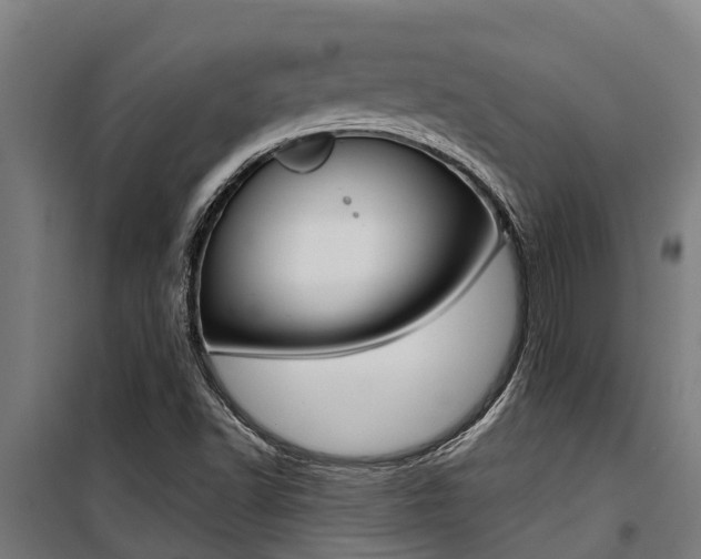 X0000100751502200806190810