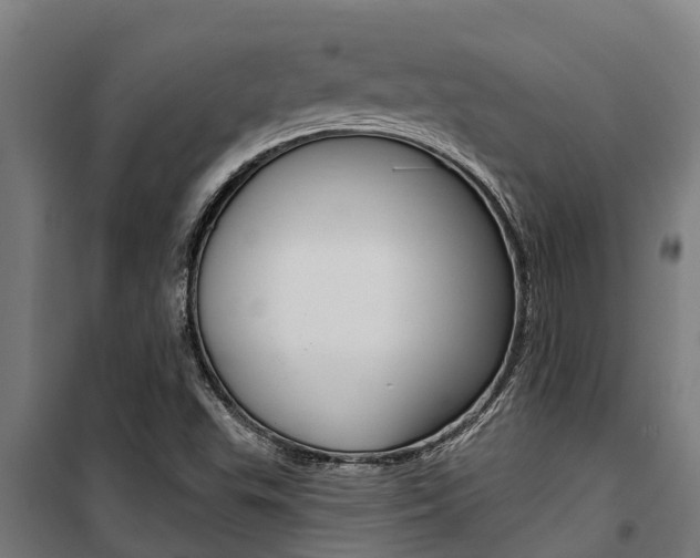 X0000100751503200806190810