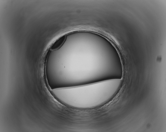 X0000100751504200806190810