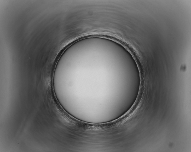 X0000100751505200806190810