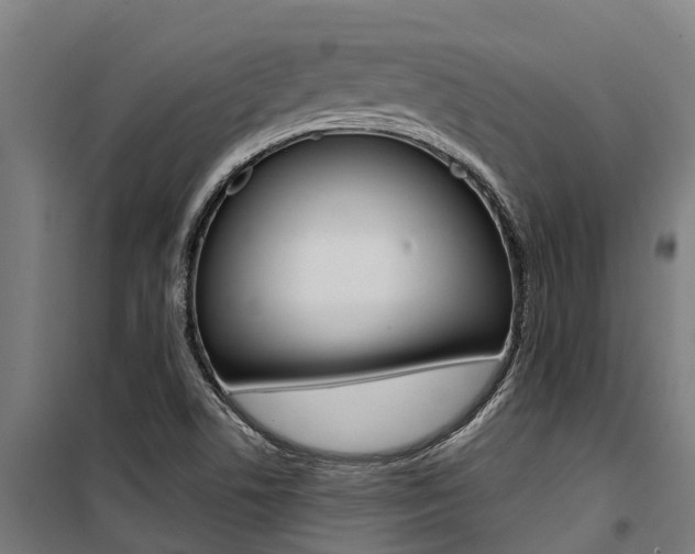 X0000100751506200806190810