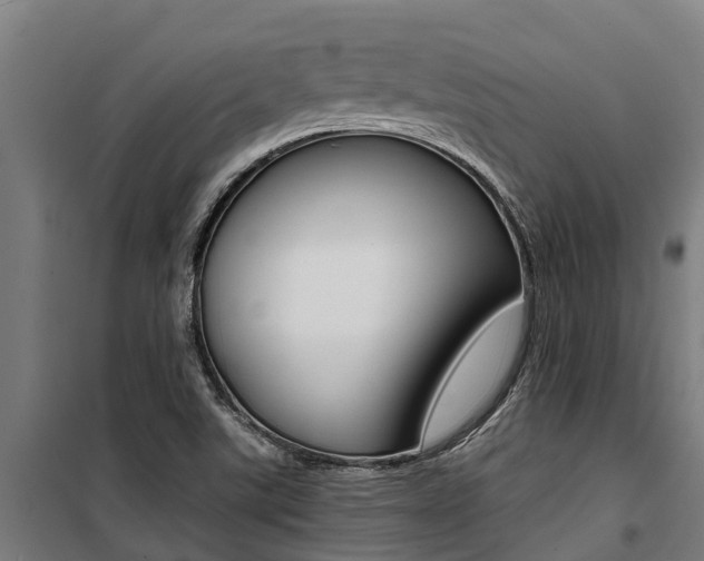 X0000100751507200806190810