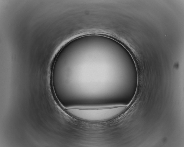X0000100751508200806190810