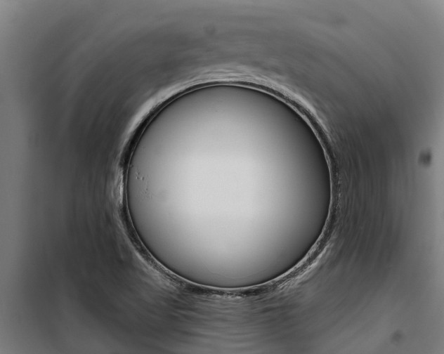 X0000100751509200806190810