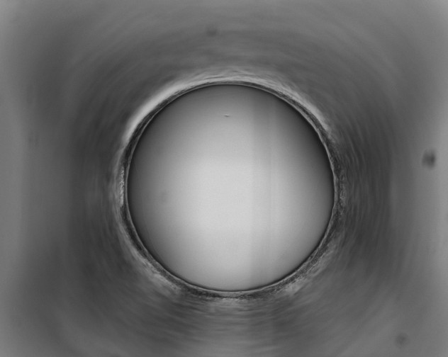 X0000100751510200806190810