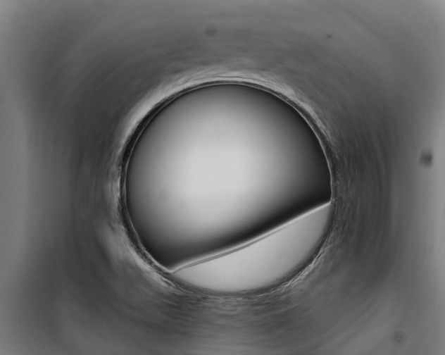X0000100751511200806190810
