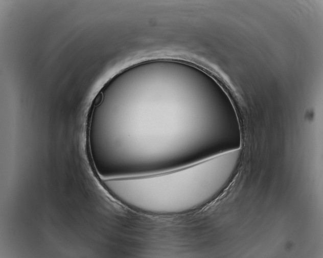 X0000100751512200806190811
