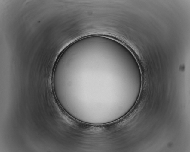 X0000100751513200806190811