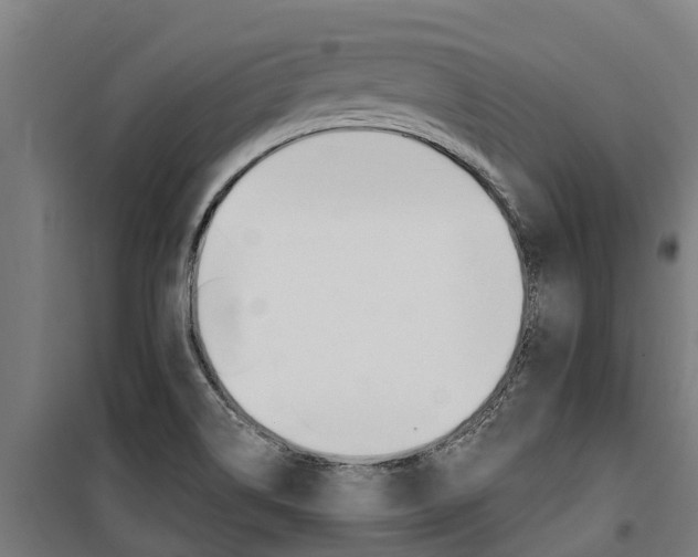 X0000100751514200806190811