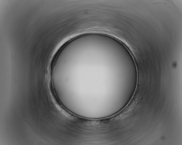 X0000100751515200806190811