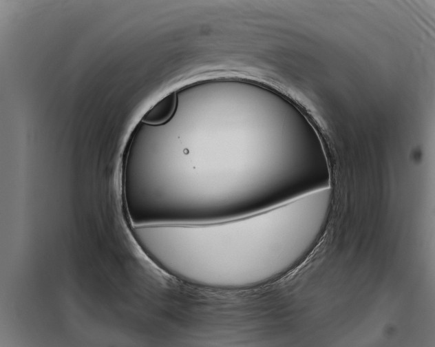 X0000100751516200806190811