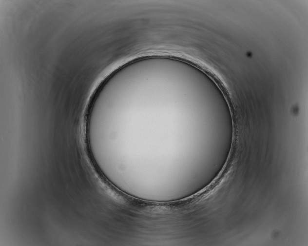 X0000100751517200806190811