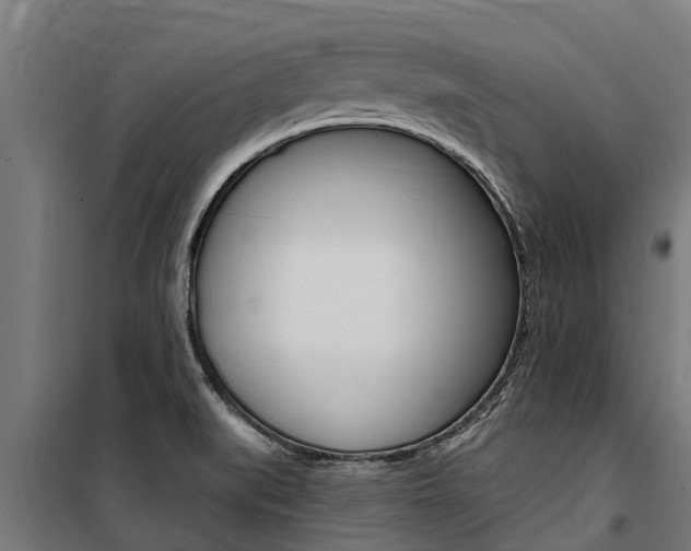 X0000100751519200806190811