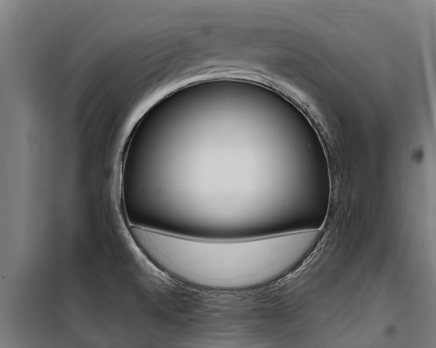 X0000100751520200806190811