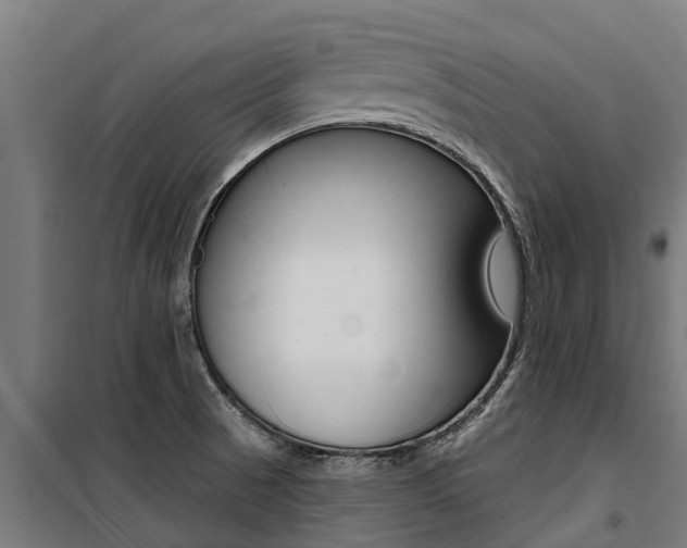 X0000100751521200806190811