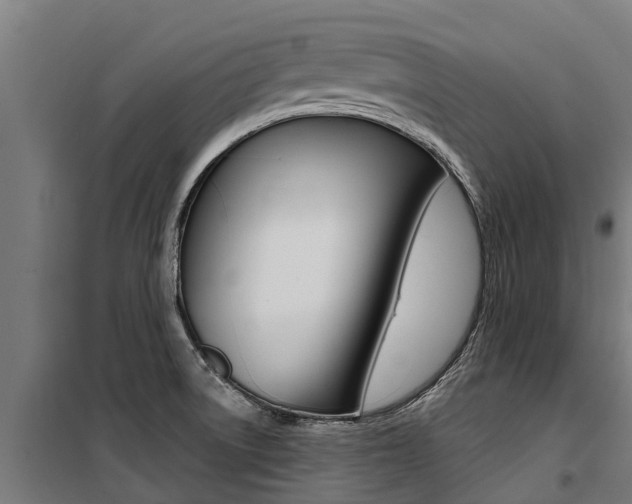X0000100751522200806190811