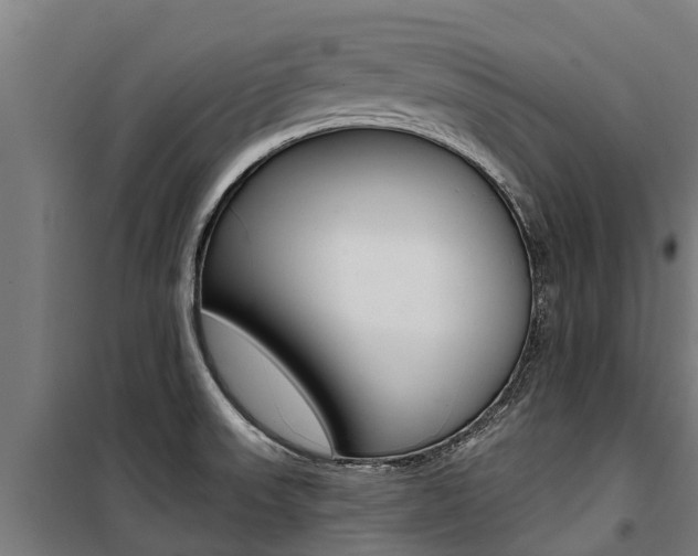 X0000100751523200806190811