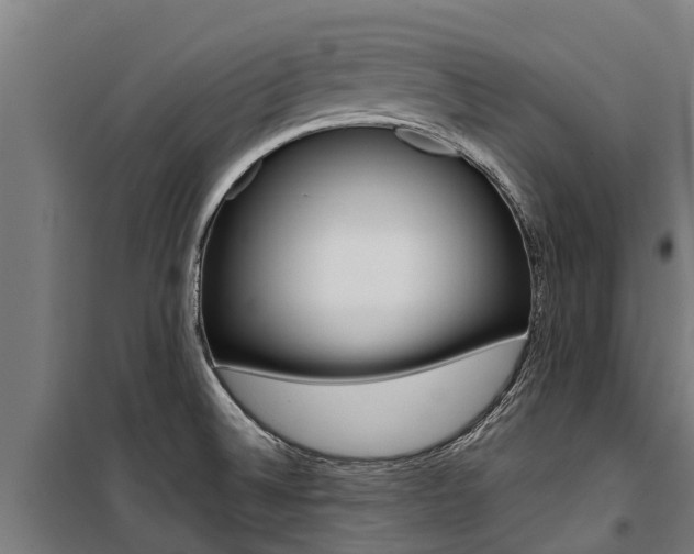 X0000100751524200806190811