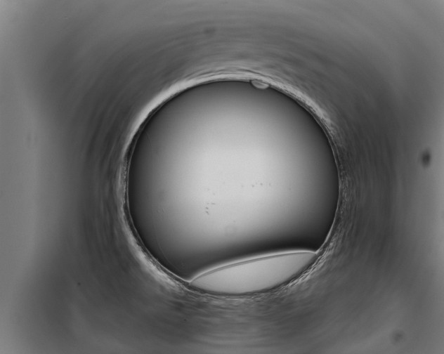 X0000100751526200806190811