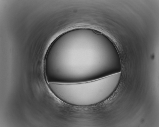 X0000100751527200806190811