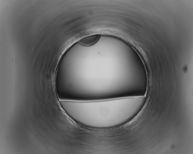 X0000100751529200806190811