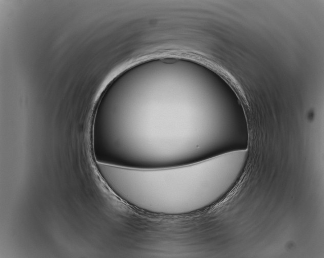 X0000100751530200806190811