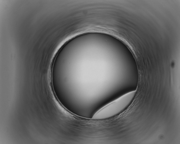 X0000100751531200806190811