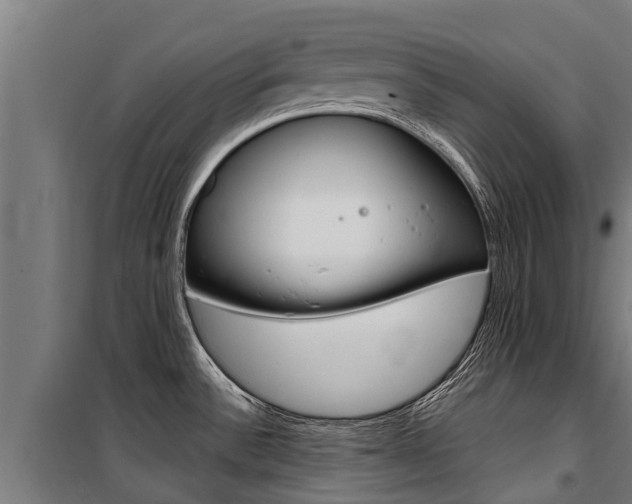X0000100751532200806190811