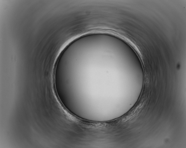 X0000100751533200806190811
