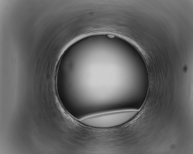 X0000100751534200806190811