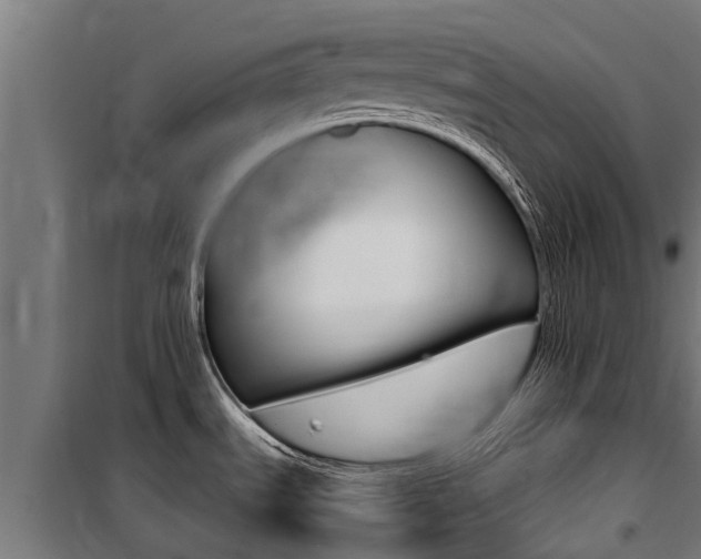 X0000100751535200806190811