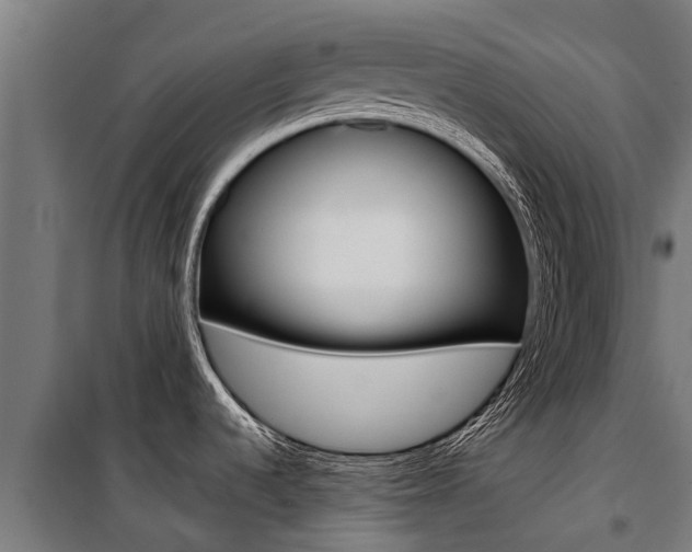 X0000100751536200806190811