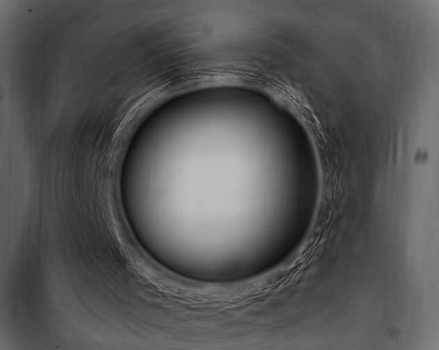 X0000100750001200806191155