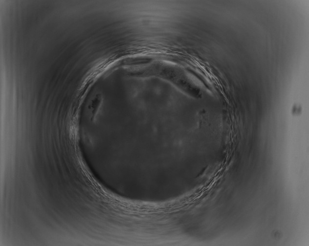 X0000100750002200806191155