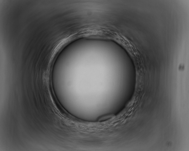 X0000100750003200806191155