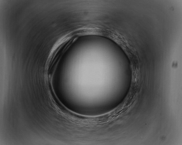 X0000100750004200806191155