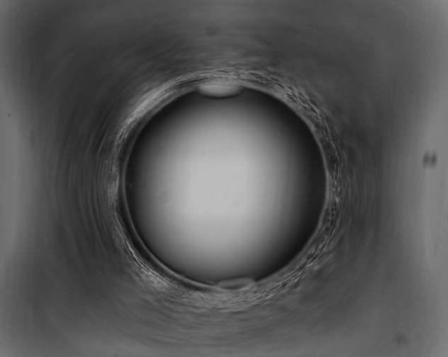 X0000100750005200806191155