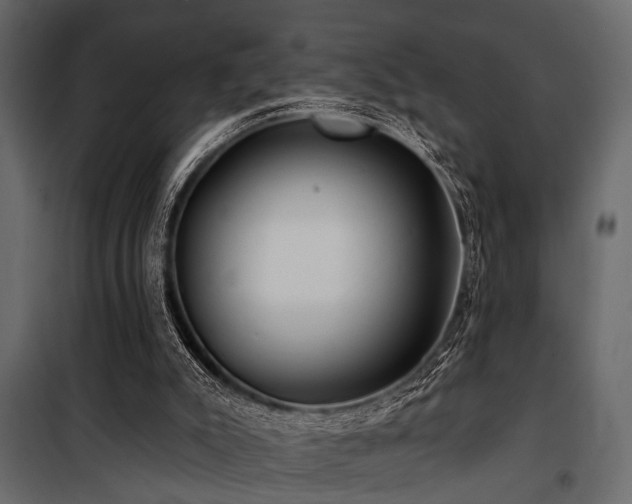 X0000100750007200806191155