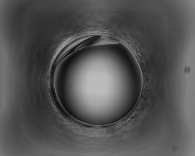 X0000100750008200806191155