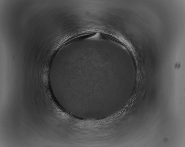 X0000100750009200806191155