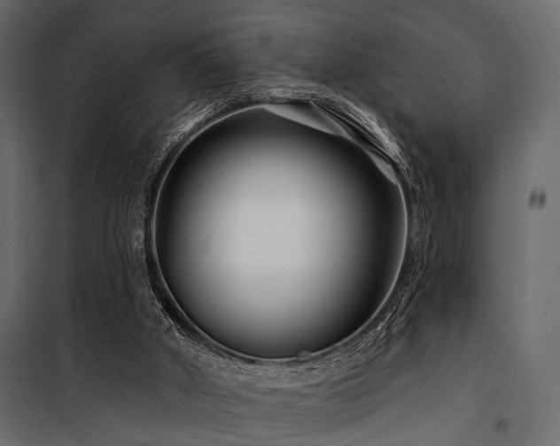 X0000100750010200806191155