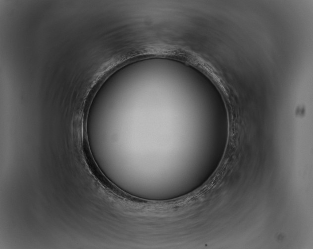 X0000100750011200806191155