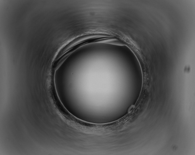 X0000100750012200806191155