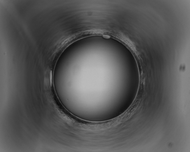 X0000100750013200806191155