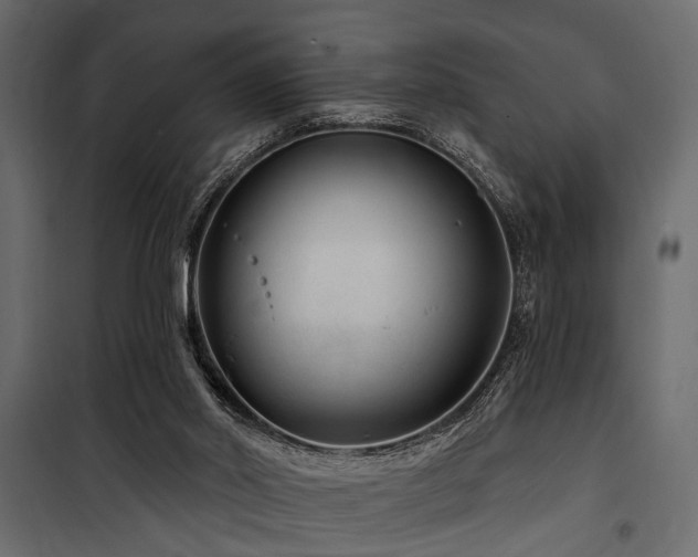 X0000100750014200806191155