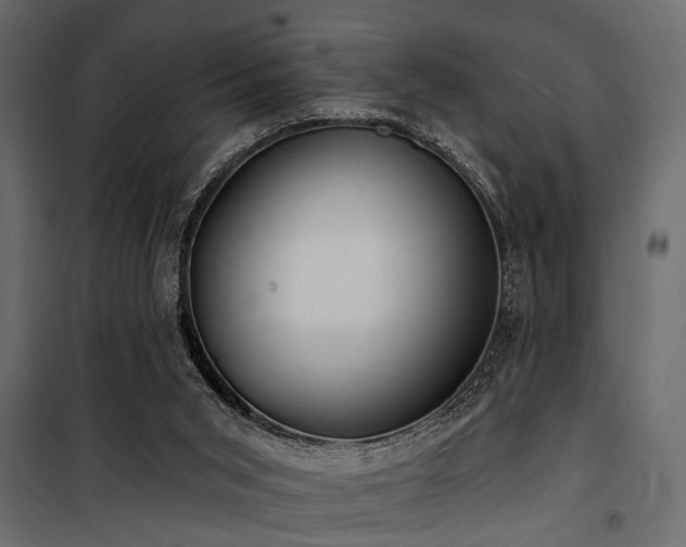 X0000100750015200806191155