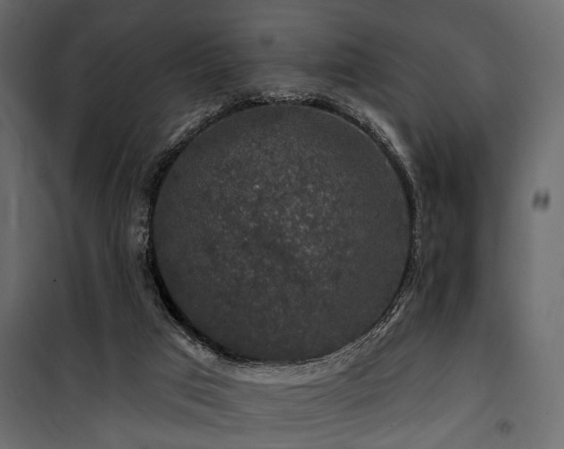 X0000100750017200806191154